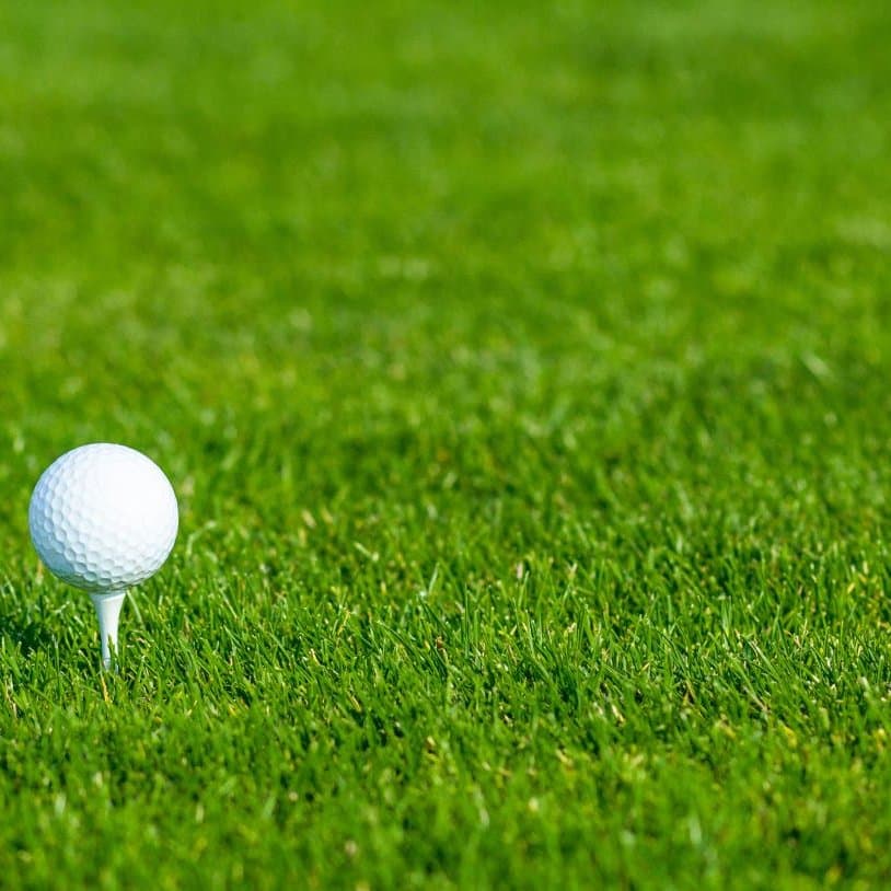 AdobeStock_473960142-v2__FocusFillMaxWyIwLjAwIiwiMC4wMCIsMTkyMCwxOTIwXQ.jpg