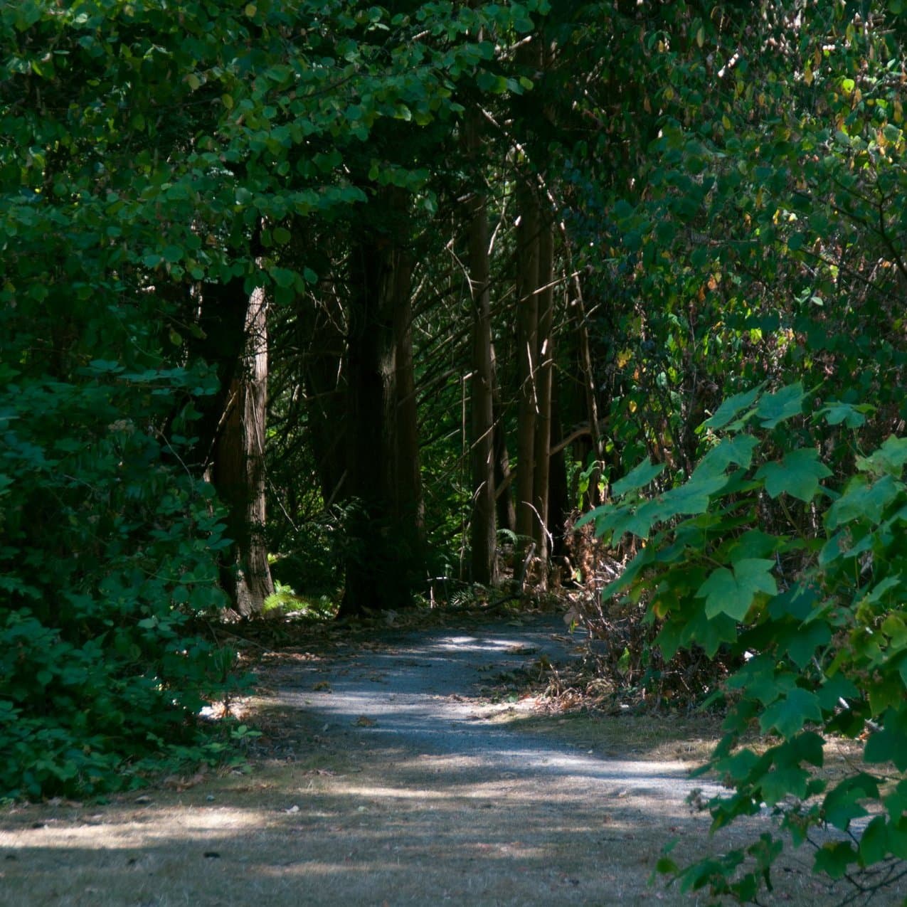 SemiahmooTrail_RS3343_DSC0218-large__FocusFillMaxWyIwLjAwIiwiMC4wMCIsMTkyMCwxOTIwXQ.jpg