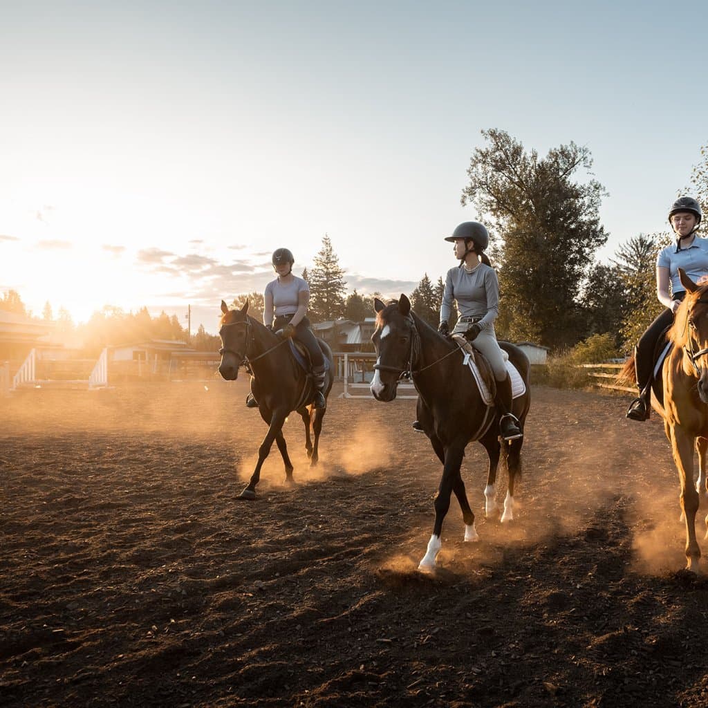Three-riders-on-horses-at-sunrise-at-A-and-T-Equestrian-in-Surrey-BC-AT-Equestrian_DSC_3120-__FocusFillMaxWyItMC4xMCIsIi0wLjEyIiwxMDI0LDEwMjRd_QualityWzg1XQ.jpg