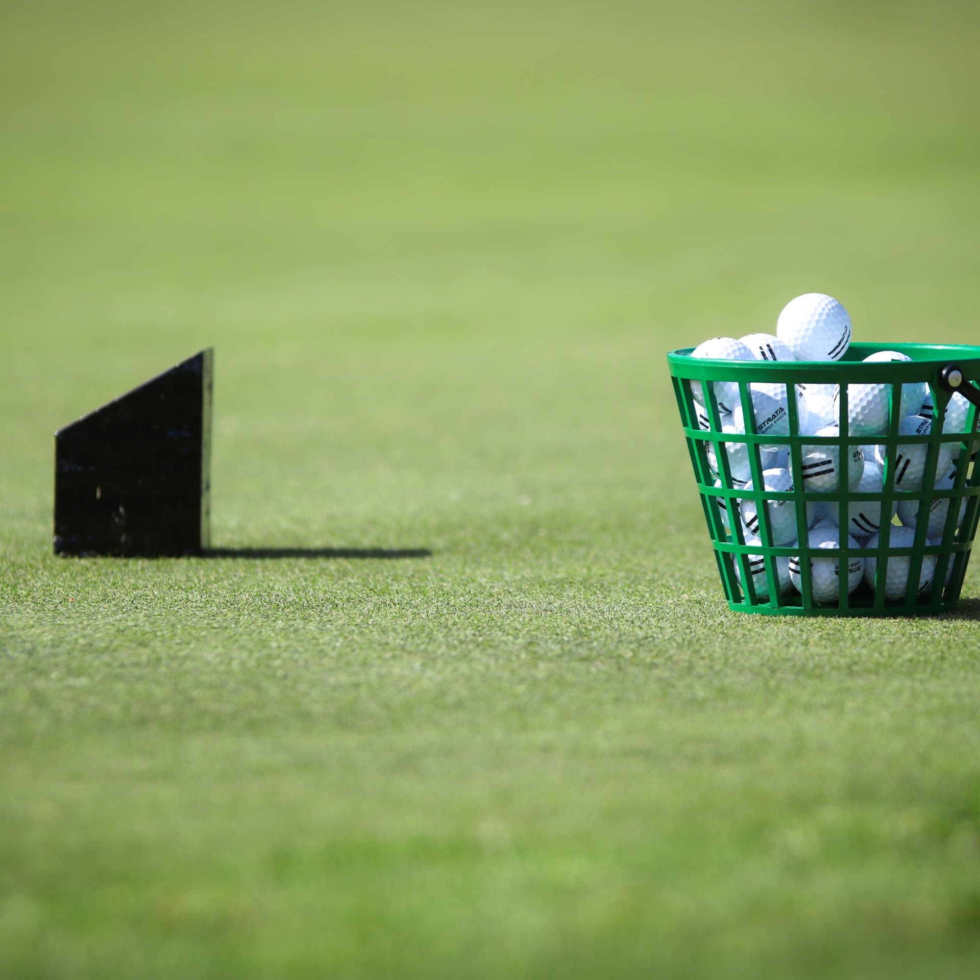 golf-surrey__FocusFillMaxWyIwLjAwIiwiMC4wMCIsMTkyMCwxOTIwXQ.jpg