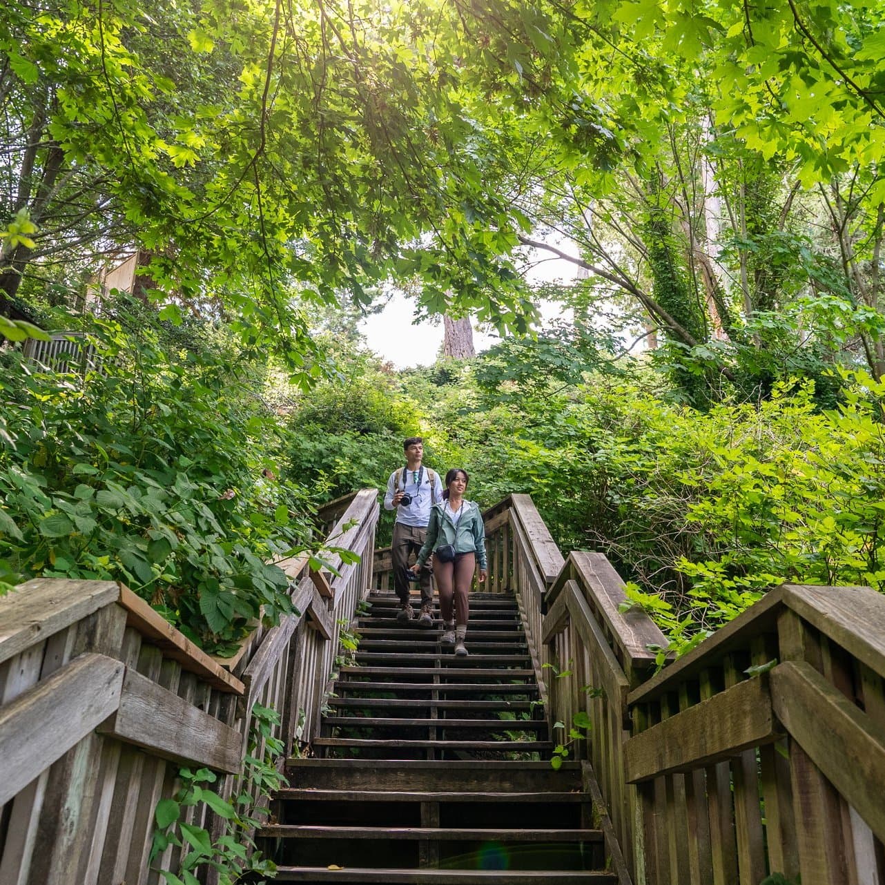 2-1001-Steps-Surrey-BC-Bird-Trail-2023-large__FocusFillMaxWyIwLjAwIiwiMC4wMCIsMTkyMCwxOTIwXQ.jpg