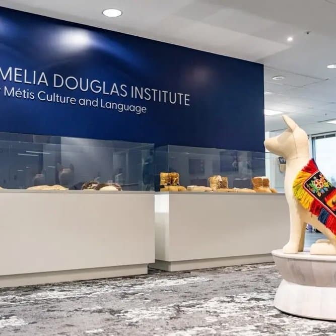 ameliadouglasinstitute_showroom__FocusFillMaxWyIwLjAwIiwiMC4wMCIsMTkyMCwxOTIwXQ.jpg