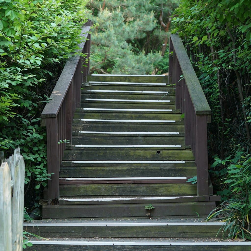 AdobeStock_629972286_stairs_2048__FocusFillMaxWyIwLjAwIiwiMC4wMCIsMTAyNCwxMDI0XQ_QualityWzg1XQ.jpg