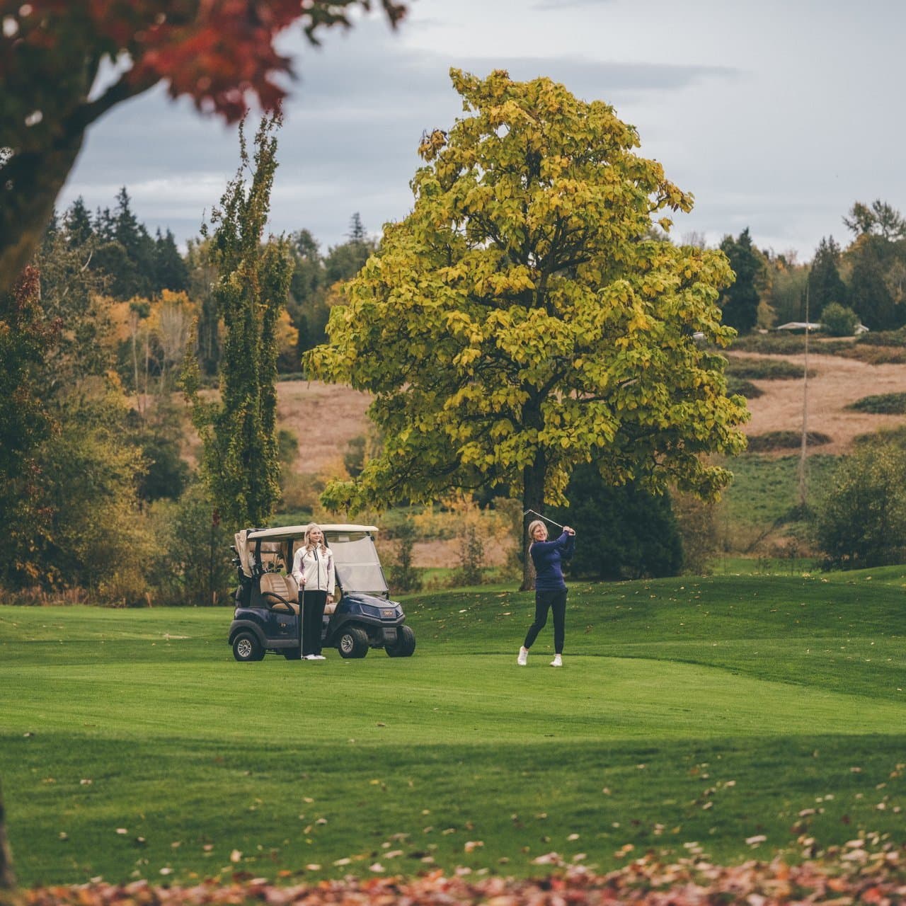 Players-at-the-Hazelmere-Golf-Club-in-Surrey-BC-playing-golf-with-fall-colours-around-Shea-MacNeil-Oct-16_Golf-08__FocusFillMaxWyIwLjA4IiwiMC4yOSIsMTkyMCwxOTIwXQ.jpg