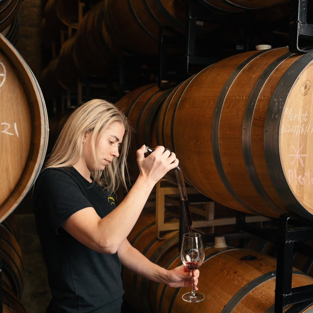 Discover-Surrey-A-vintner-tests-wine-from-a-barrel-at-Gate-22-Winery-formerly-Cavallo-Winery-Ian-Harland-DSC_9863_Scaled__FocusFillMaxWyIwLjAwIiwiMC4wMCIsMTAyNCwxMDI0XQ_QualityWzg1XQ.jpg