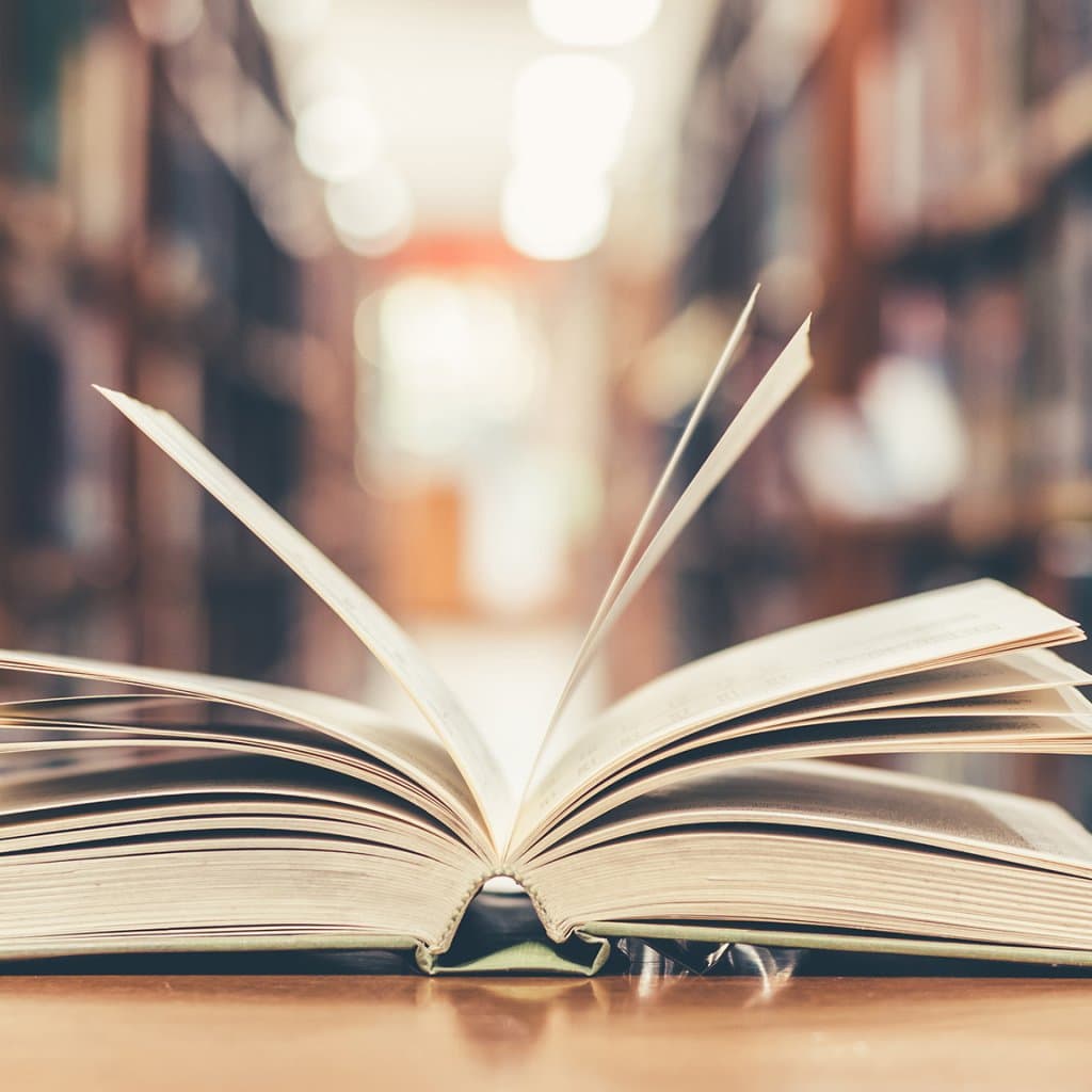 AdobeStock_185877428_library_2048+__FocusFillMaxWyIwLjAwIiwiMC4wMCIsMTAyNCwxMDI0XQ_QualityWzg1XQ.jpg